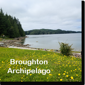 Kayaking Vancouver Island Broughtons