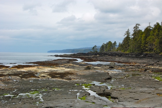 Victoria day trips Juan de Fuca Botanical Beach