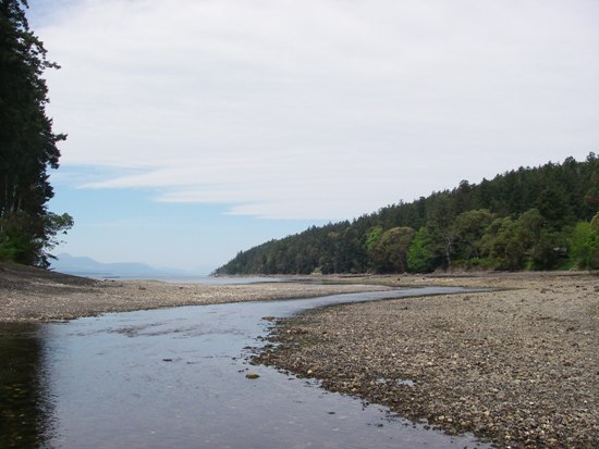 Kayaking Vancouver Island Gulf Islands Salt Spring Island looking North