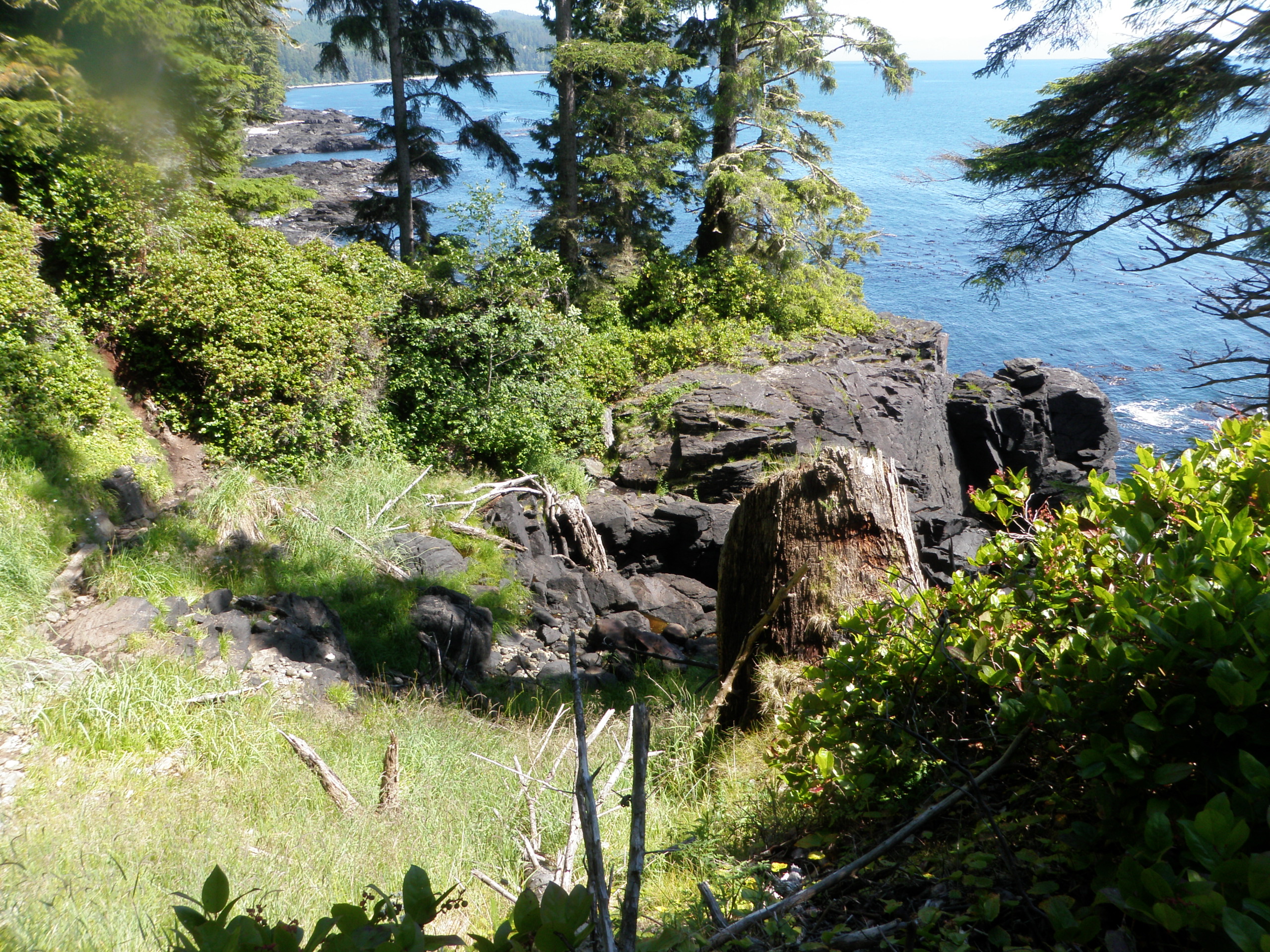 Juan de Fuca Trail guided tour