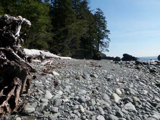 Juan de Fuca Trail cobblestone beach