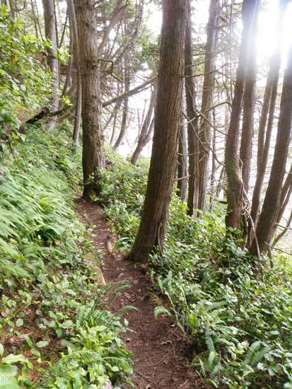 Juan de Fuca Trail 