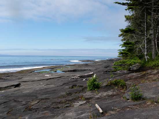 Juan de Fuca Trail sandstone shelf