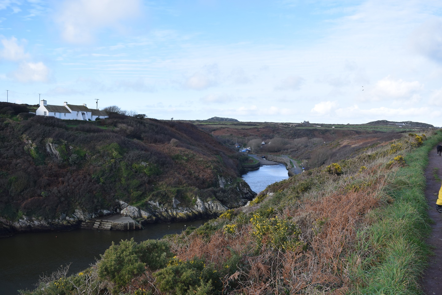 River in Pembrokeshire, Wales