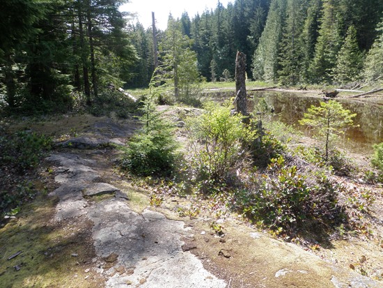 Canoe Tour Sayward Lakes Portage Trail
