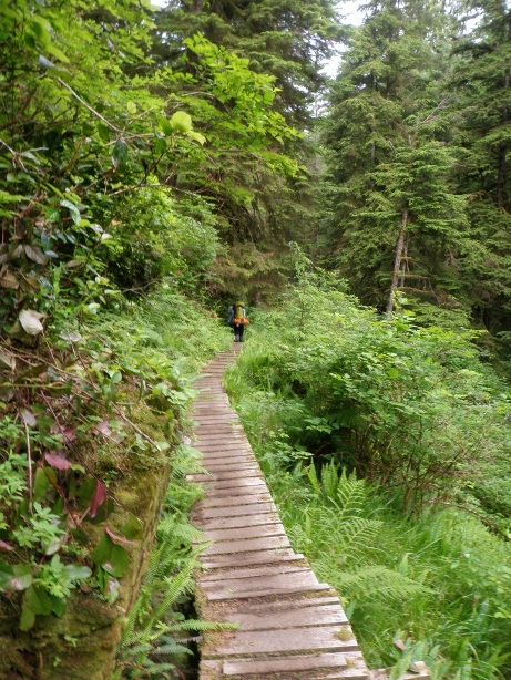 Boardwalk Near Nitinaht Vancouver Island Hiking
